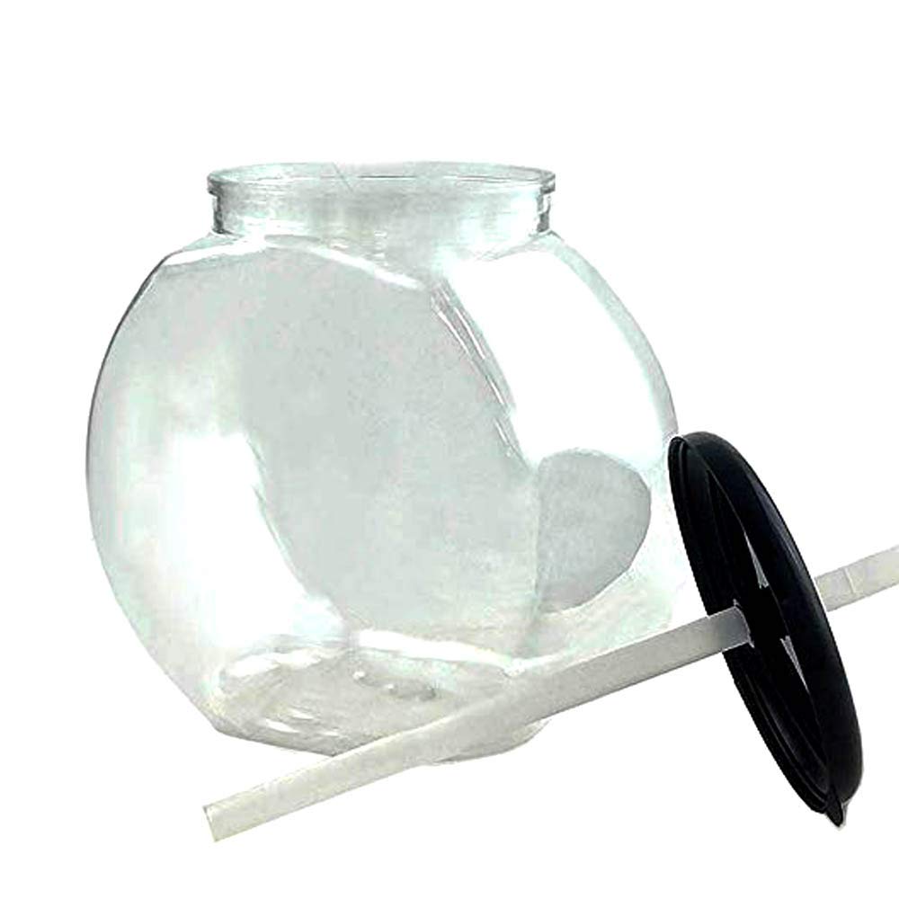 Amazon.com: BARCONIC® Flat Sided Fishbowl - 40 ounce : Home & Kitchen